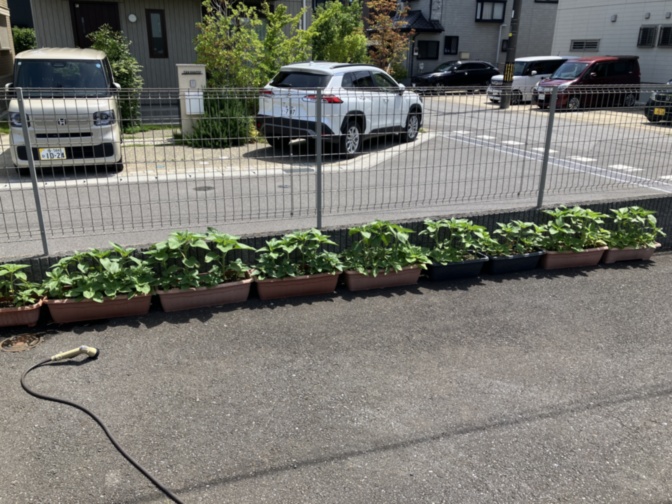 施設の駐車場と庭園。フェンスで囲まれた駐車スペースとプランターの植栽が見える。