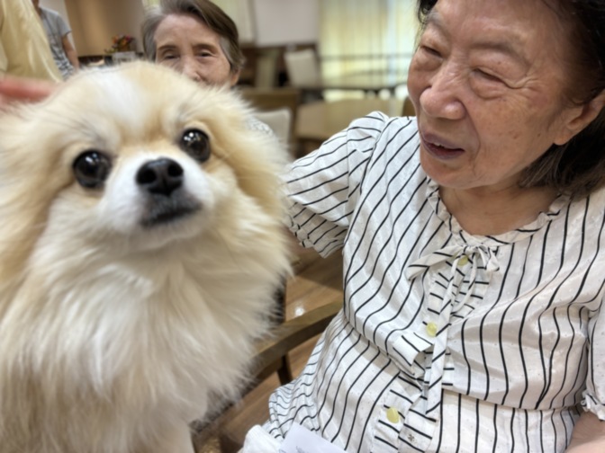 入居者が小型犬とふれあう様子。アニマルセラピーの一場面。